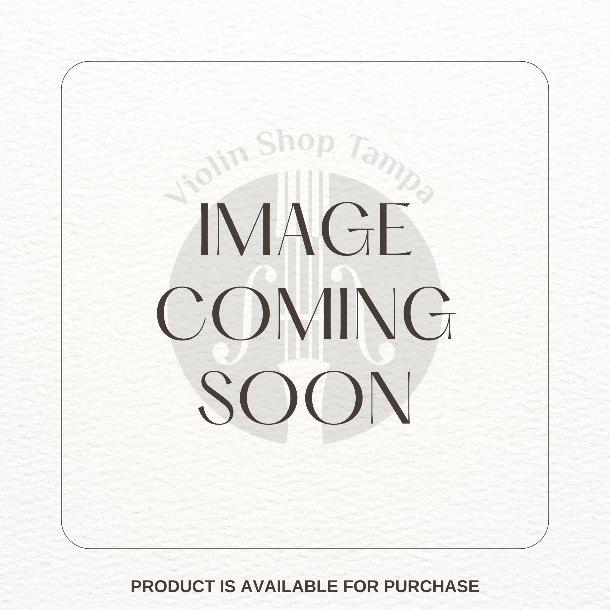 S. Trindade - L'Archet Violin Bow